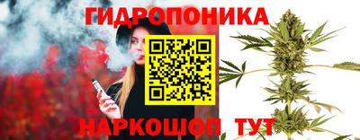 каннабис Будённовск